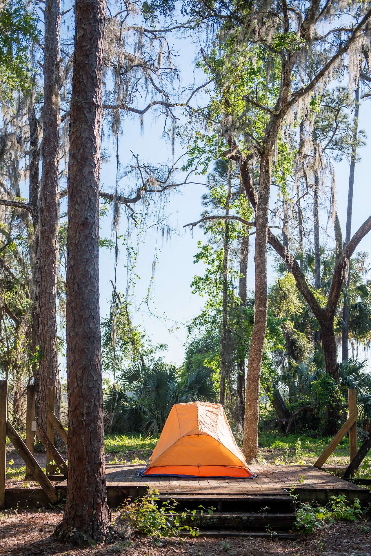 tent views