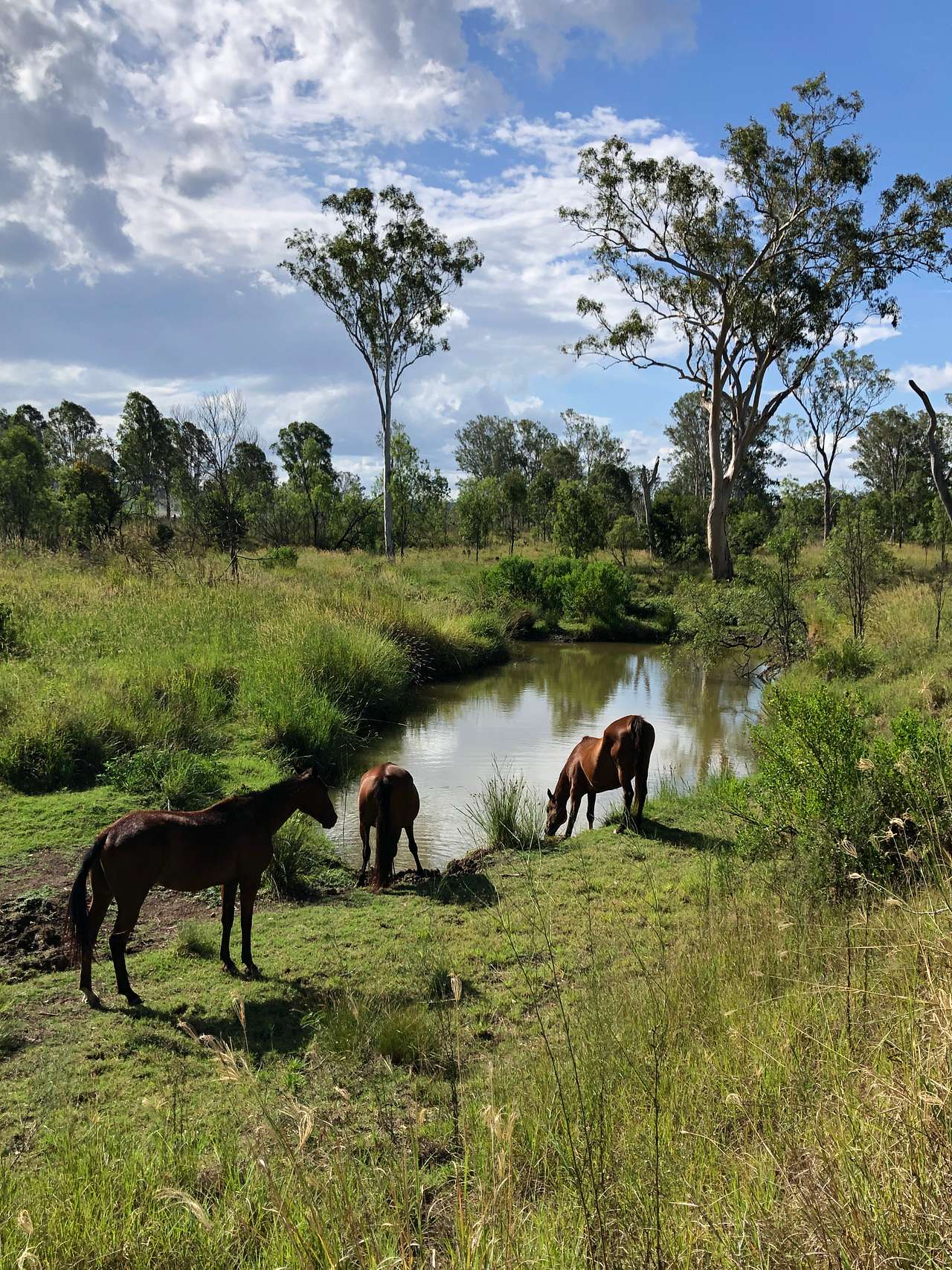 Jack's Place Toogoolawah