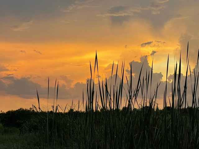 Saint Lucie Farm Preserve