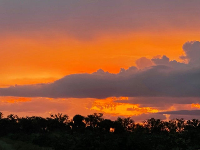 Saint Lucie Farm Preserve