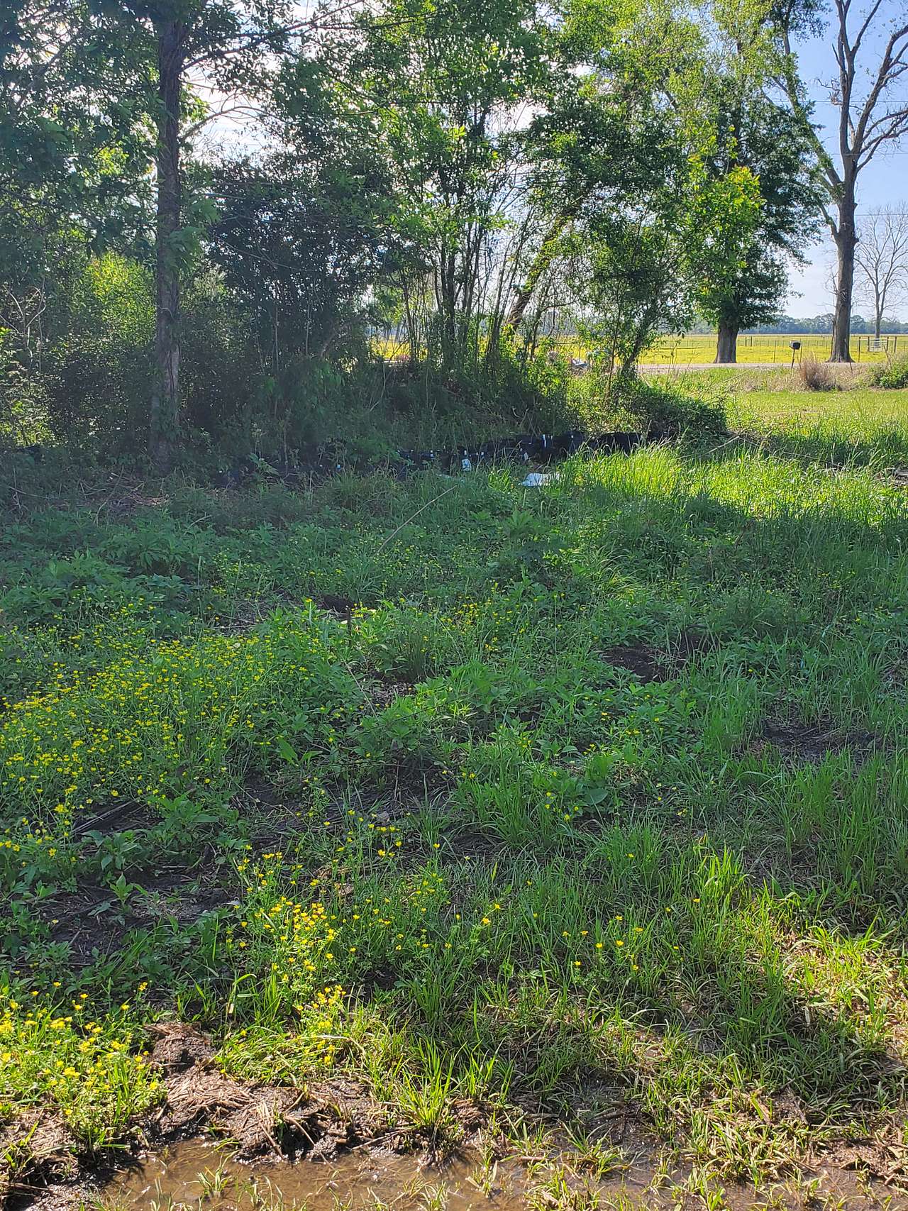 The Sanctuary Project