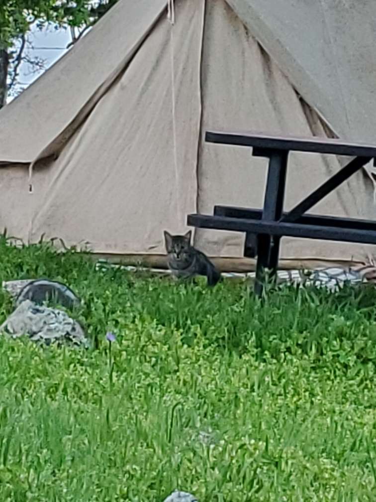 Moscow would not leave the tent area