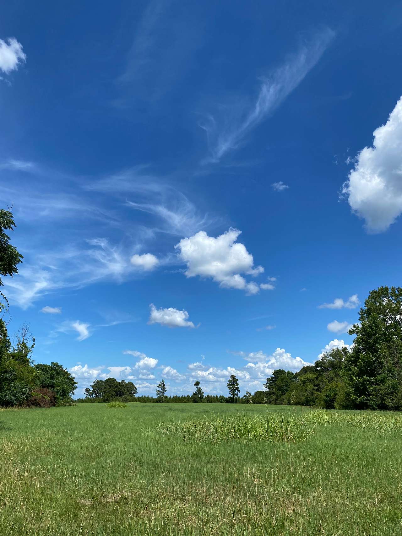Remote, Peaceful Camp- Boones' Farm