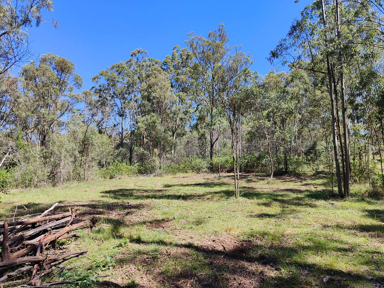 Hunter Downs