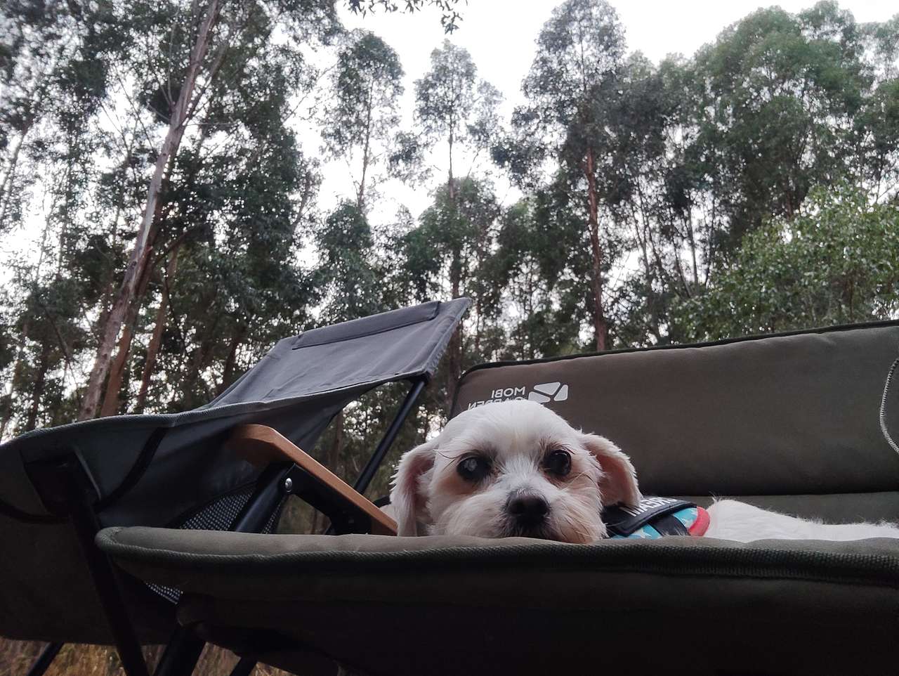 Lewana Cottages Campsites