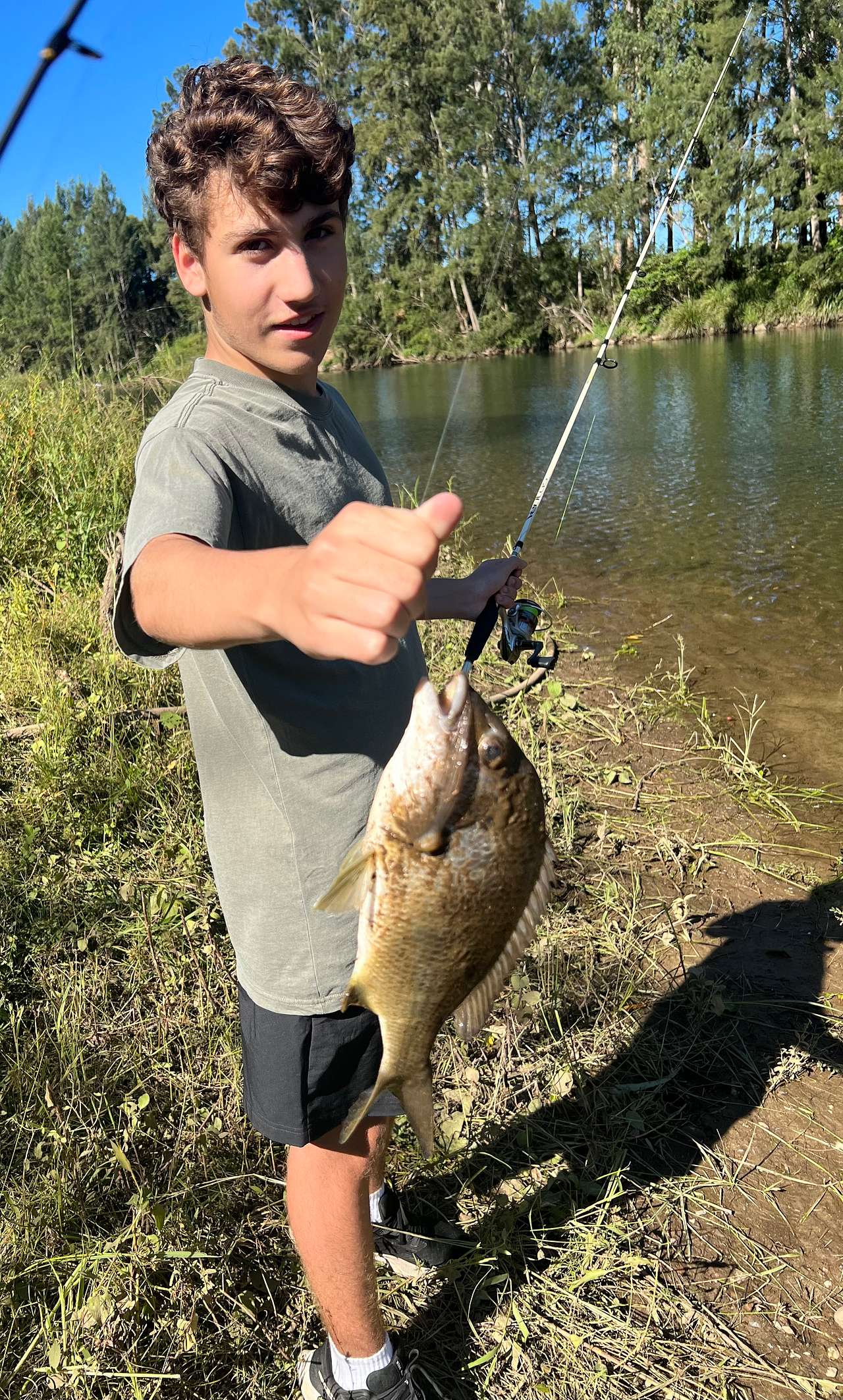 Bellinger River Camping