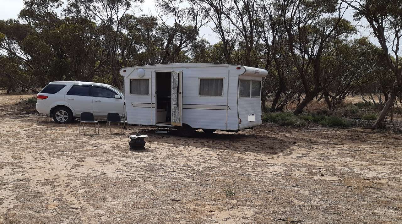 Currawong Corner bush camp - Caravan, RV & tent