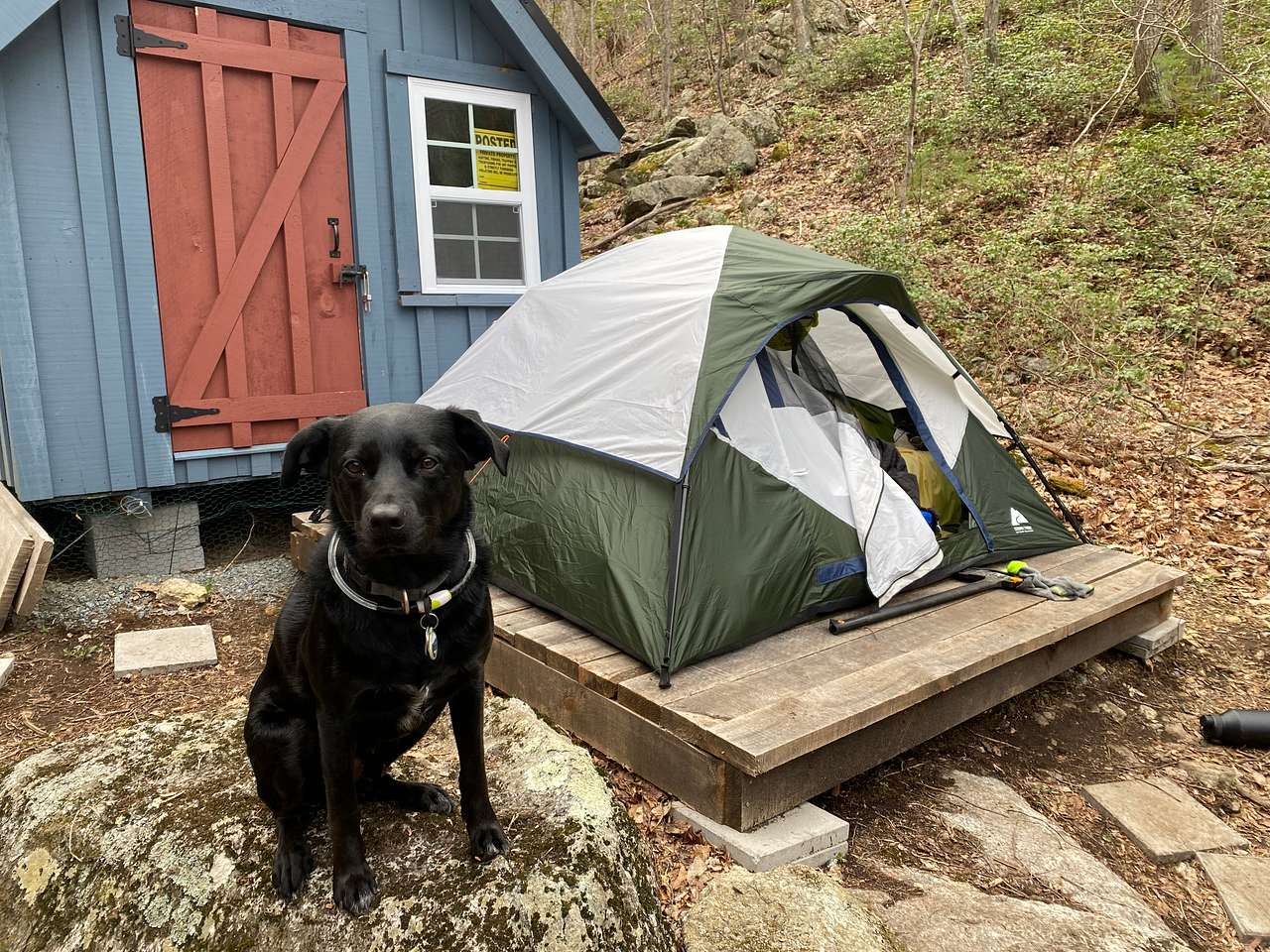 Meili Mtn - Tye River Escape
