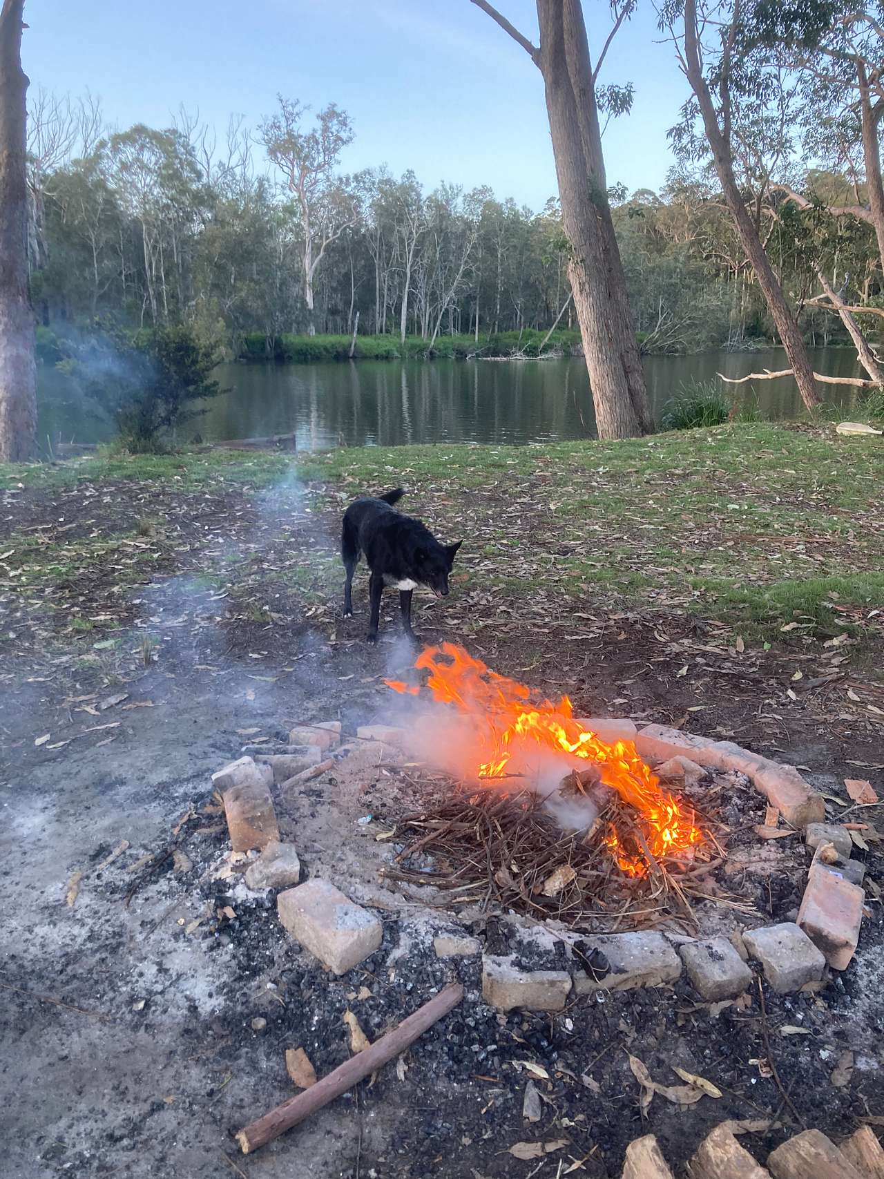 Fire Pit