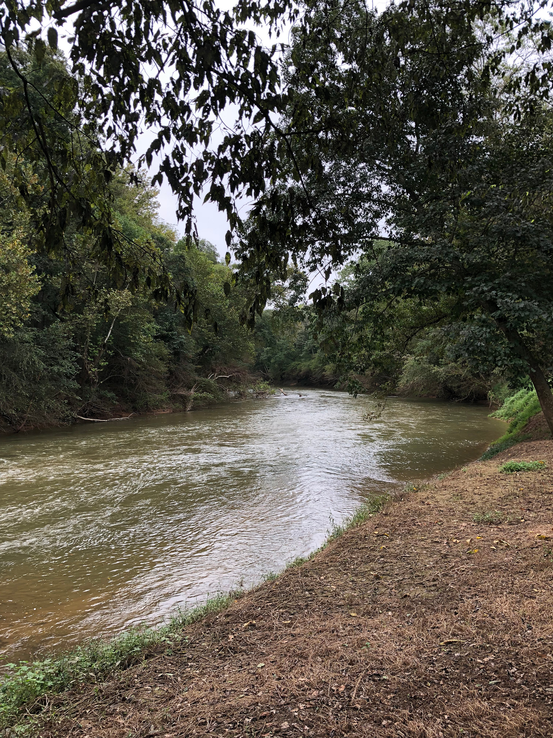 Private Camping on the Hazel River