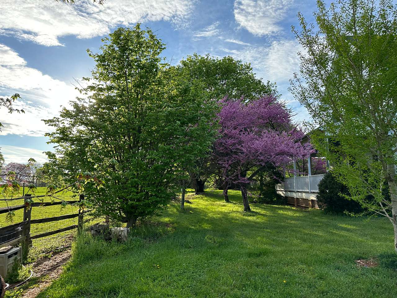 Maple Grove Farm