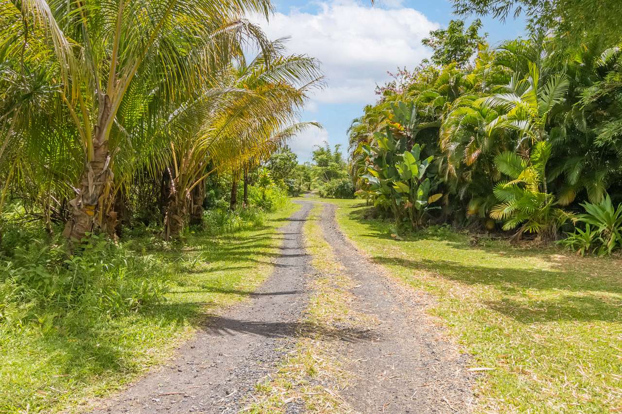 Off Grid Hawaii