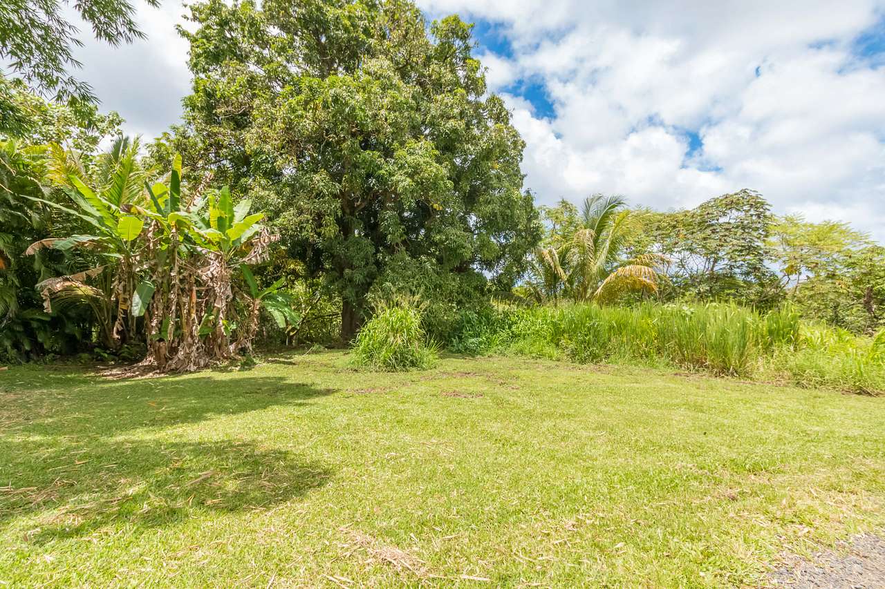 Off Grid Hawaii