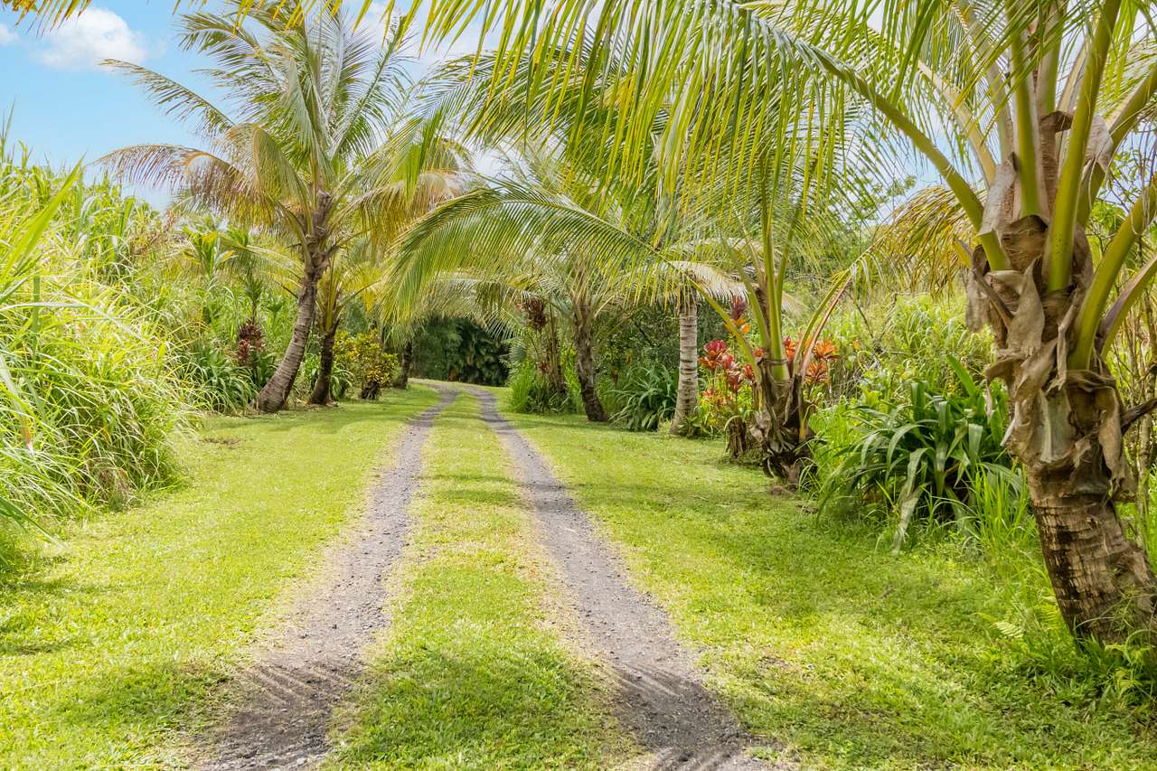 Off Grid Hawaii