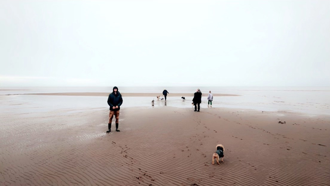 Acadian Coastal Camping & Dog Park