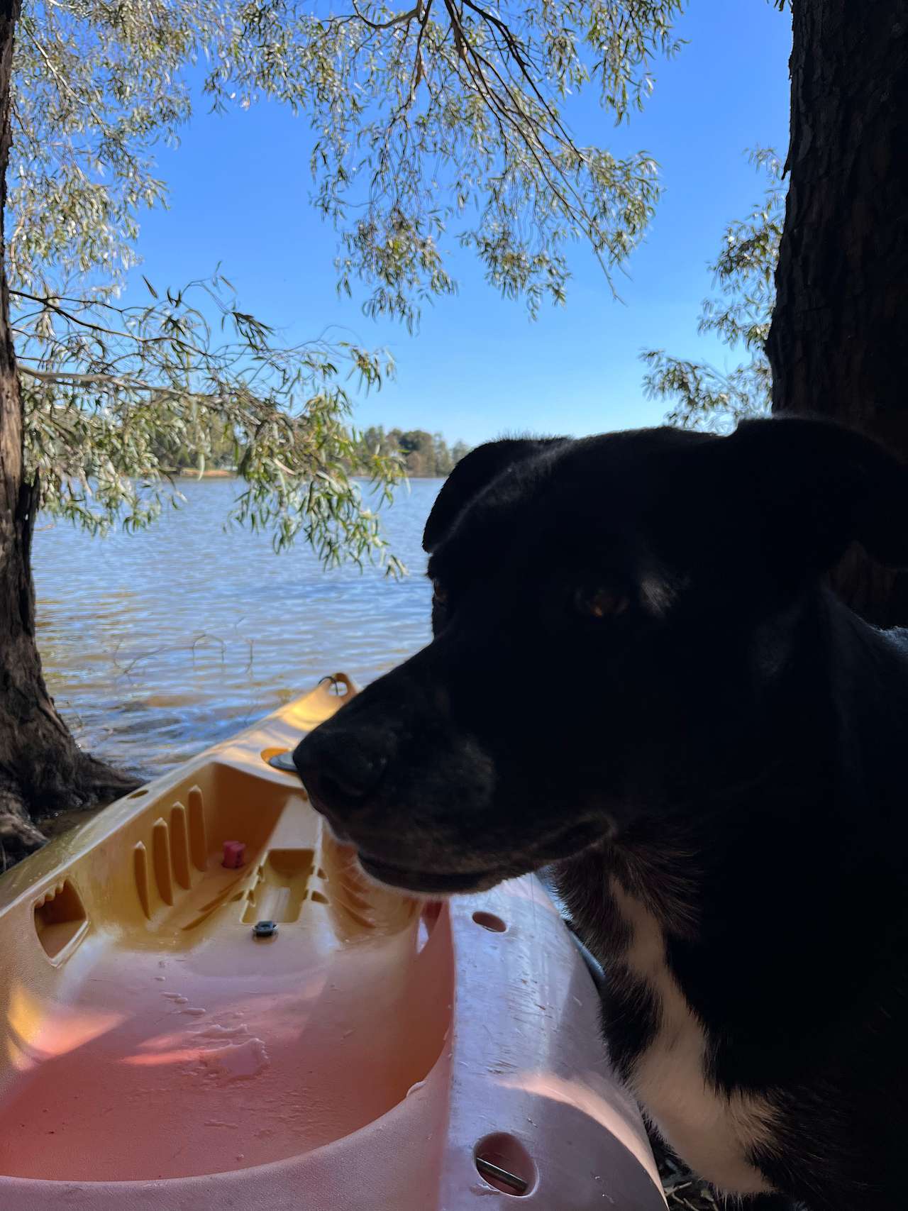 Mirrool Creek, Lake Abortree