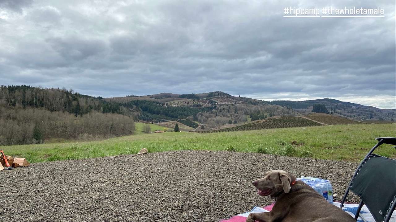 21 Acres above Riffe Lake Park