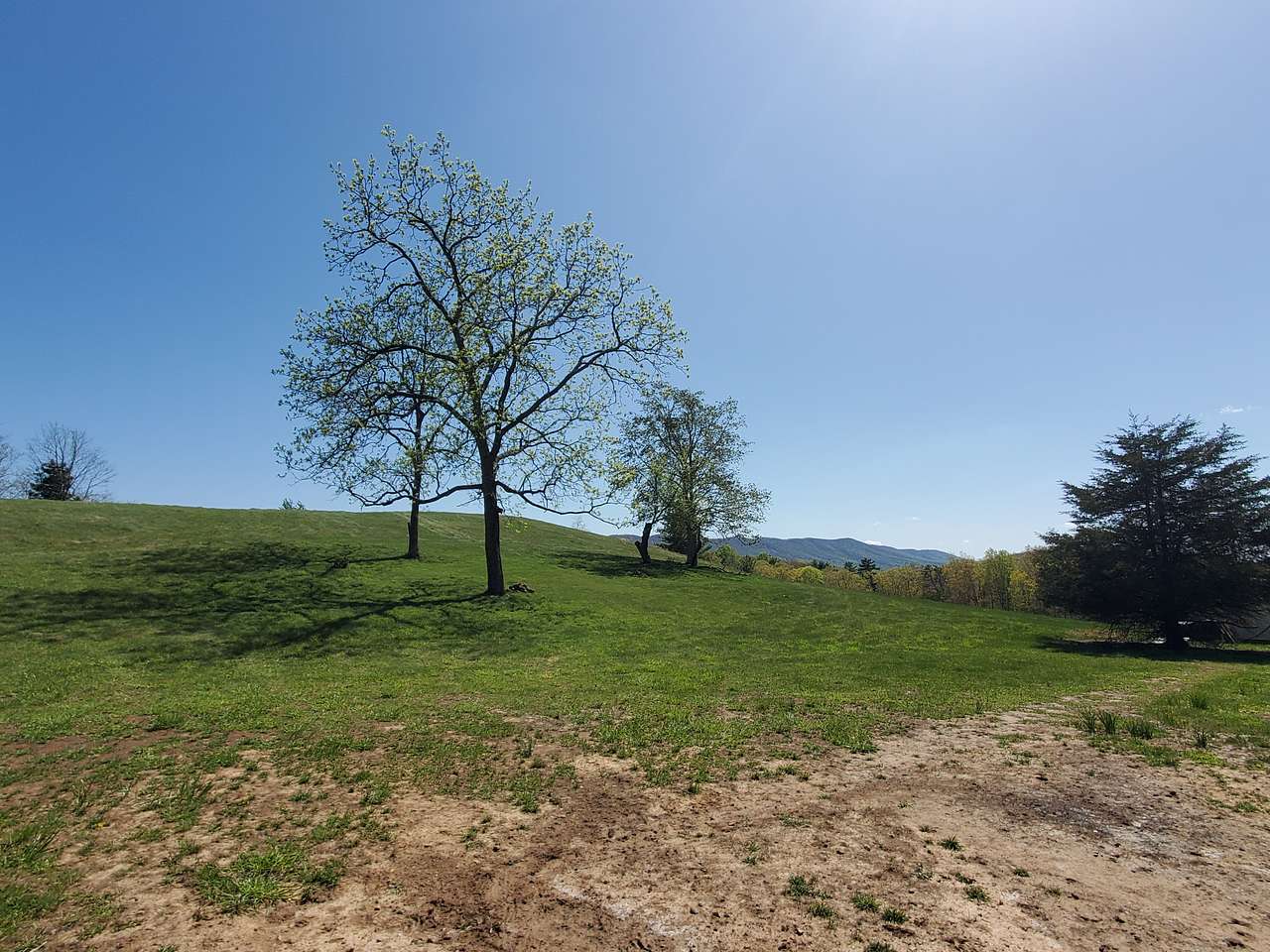 View From Camper Campsite