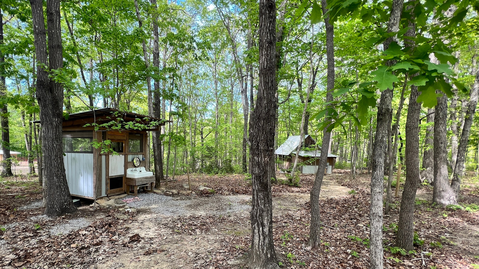 Cabin and Barn on 20 Peaceful Acres