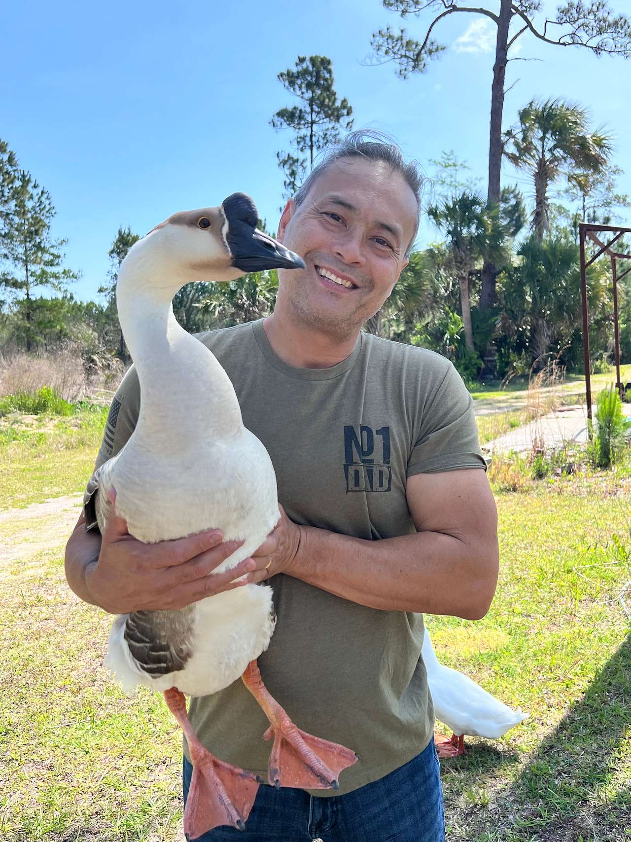 The friendly goose