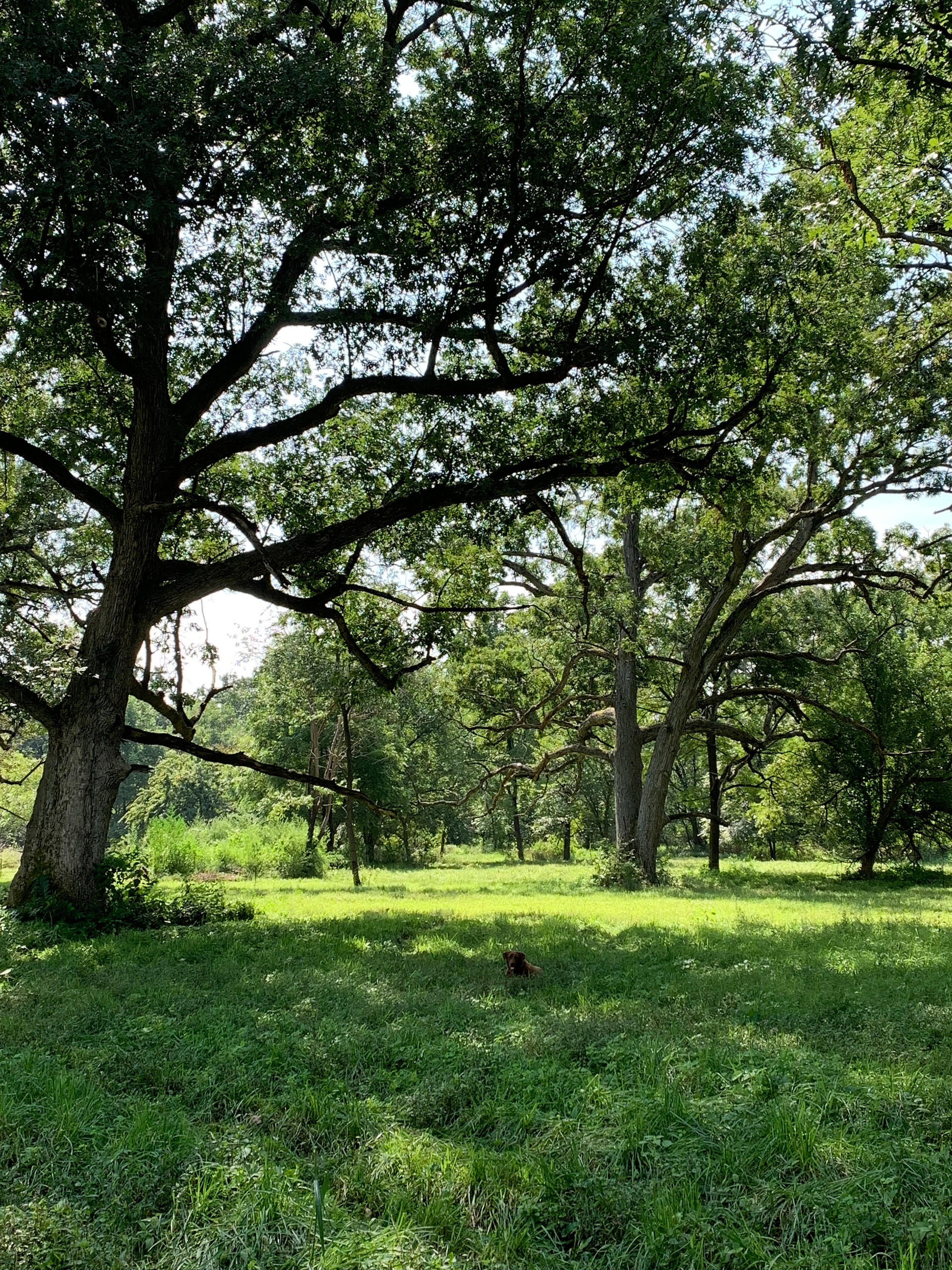 Bear Bottom Ranch