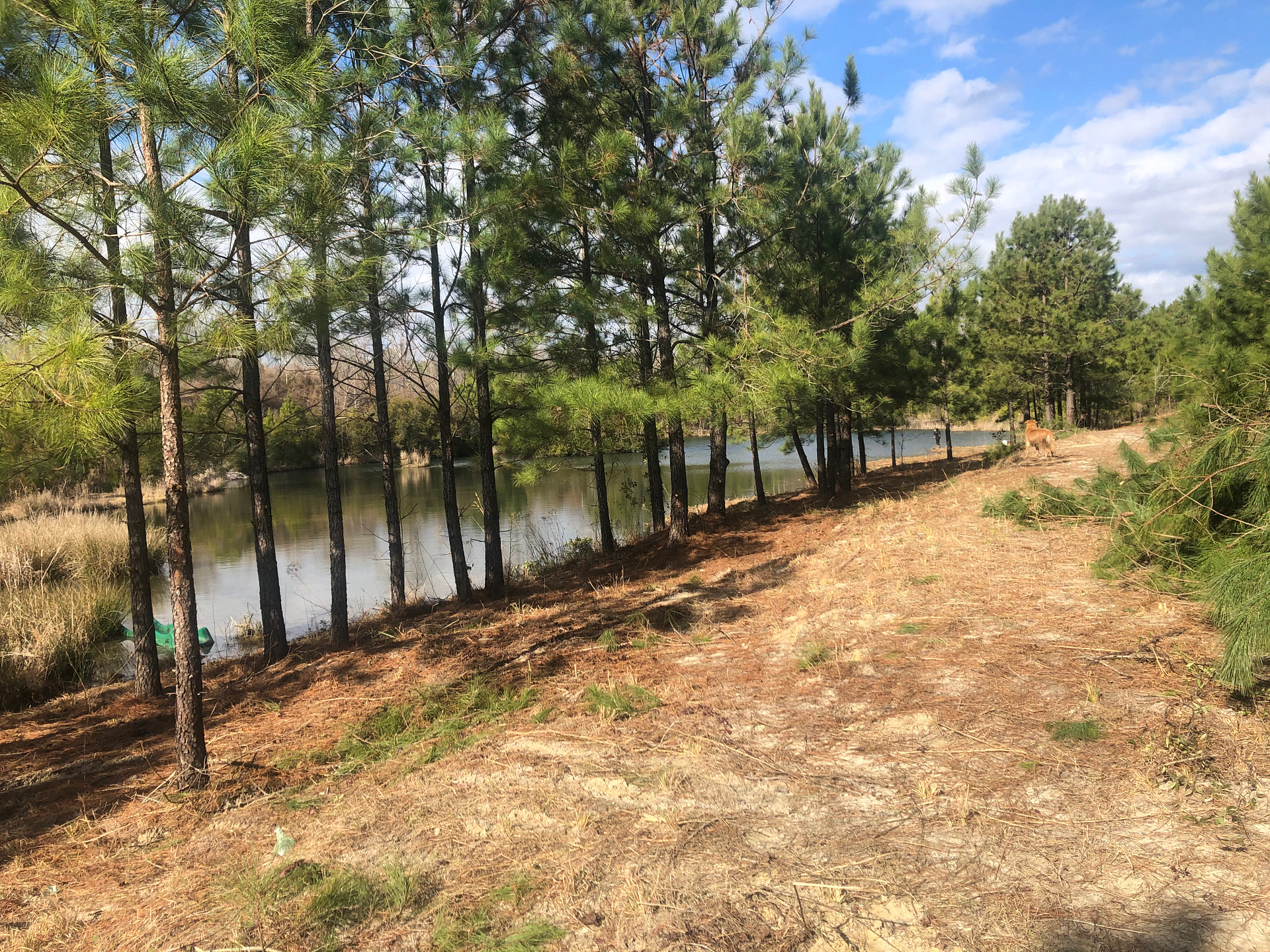 Pasture Creek Farms