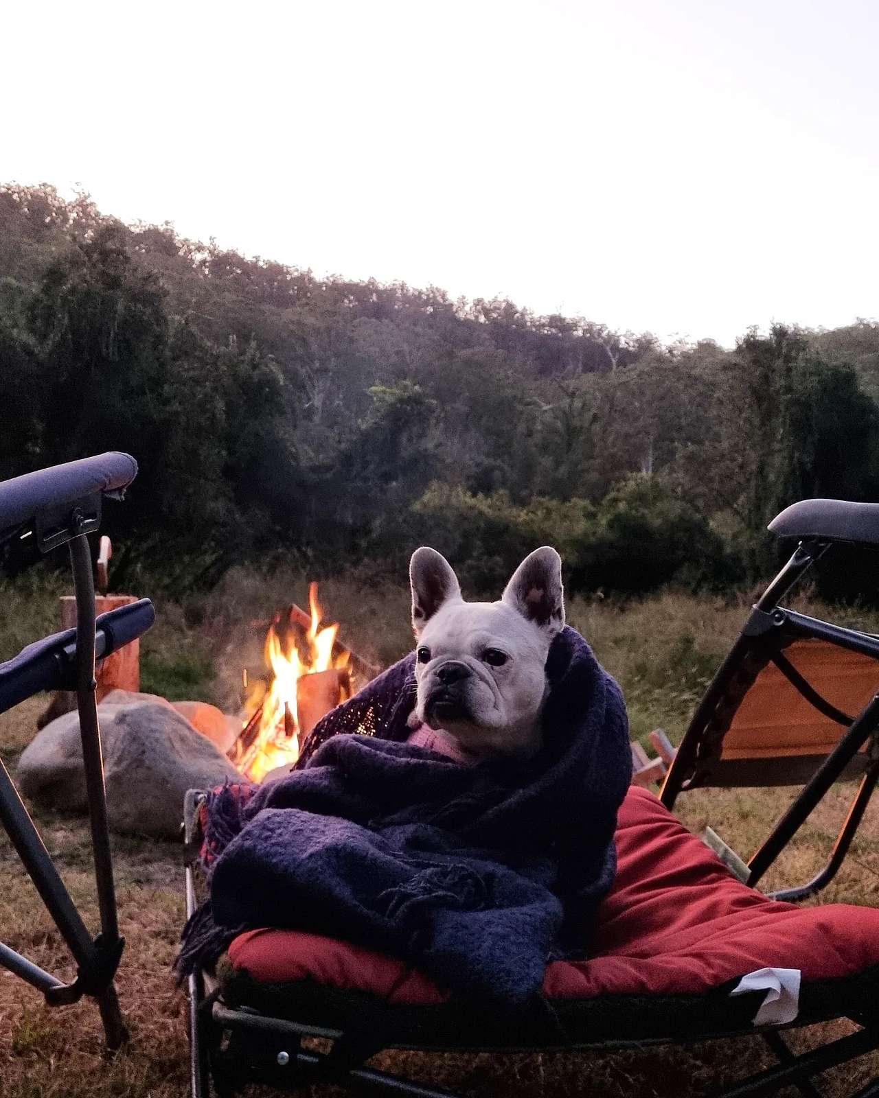 Eagle Ridge Bush Retreat