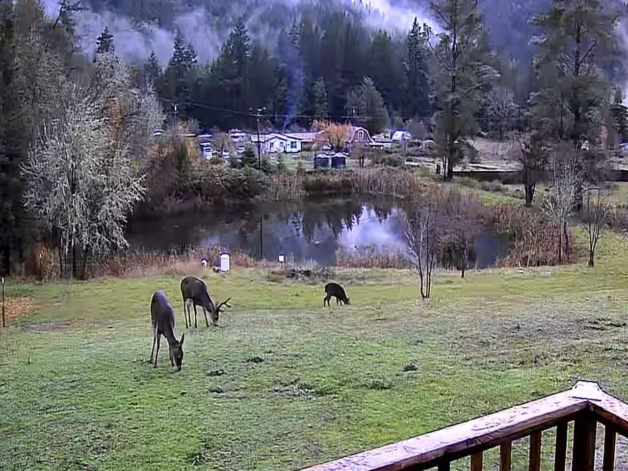 Salmon Creek RV Camping