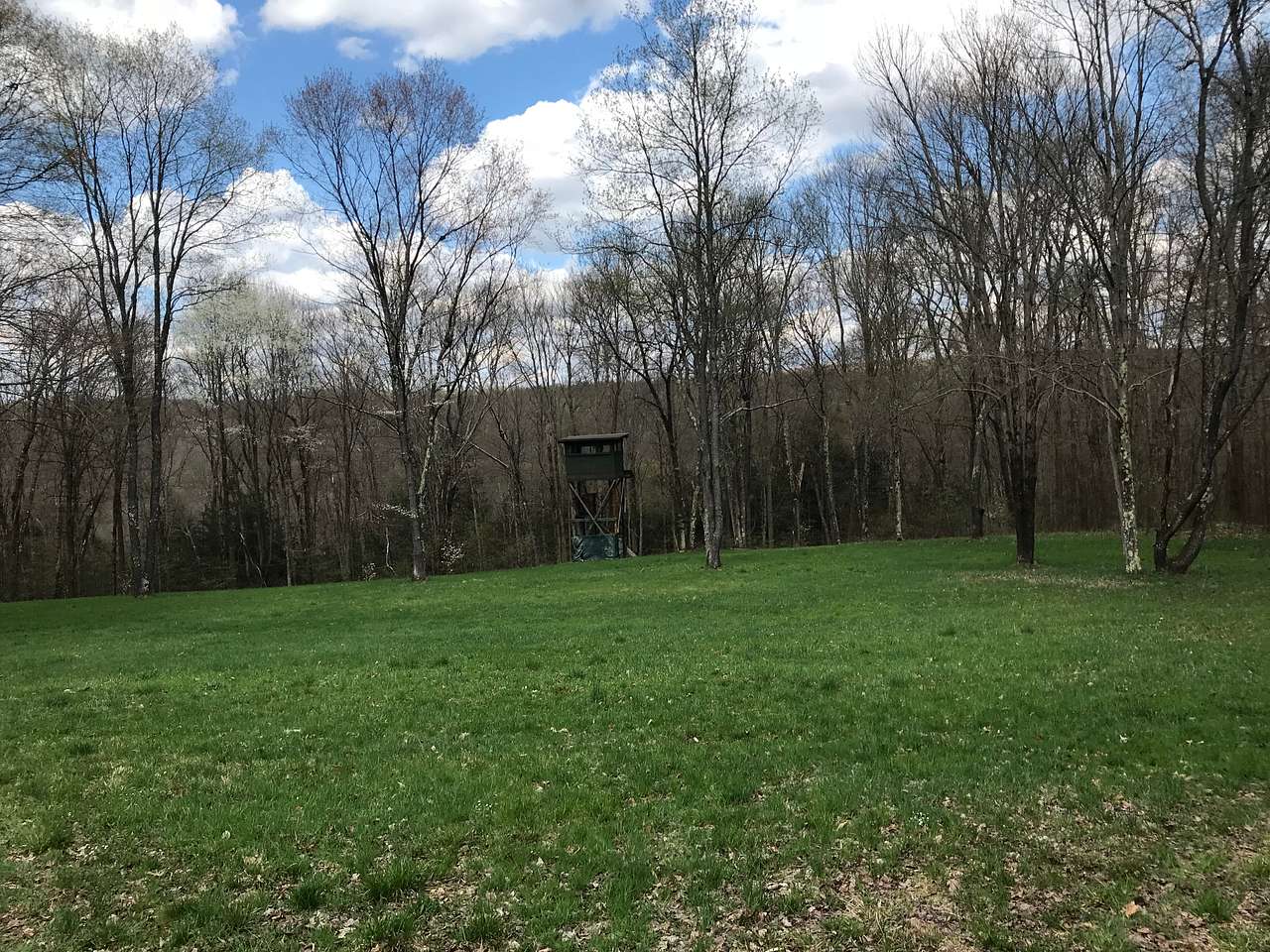 Roller-Coaster Road Ranch