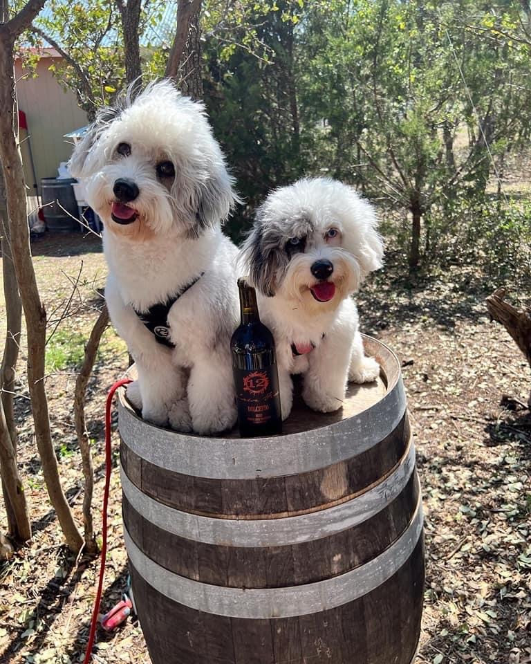 12 Fires Winery and Vineyard