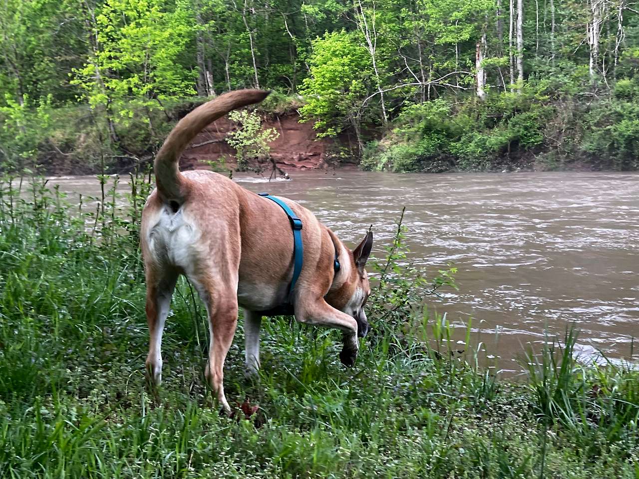 Rockfish River Landing