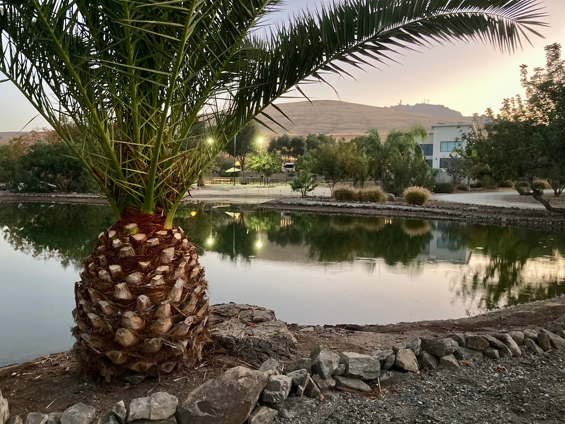 Lucky Dog Ranch with Pickleball