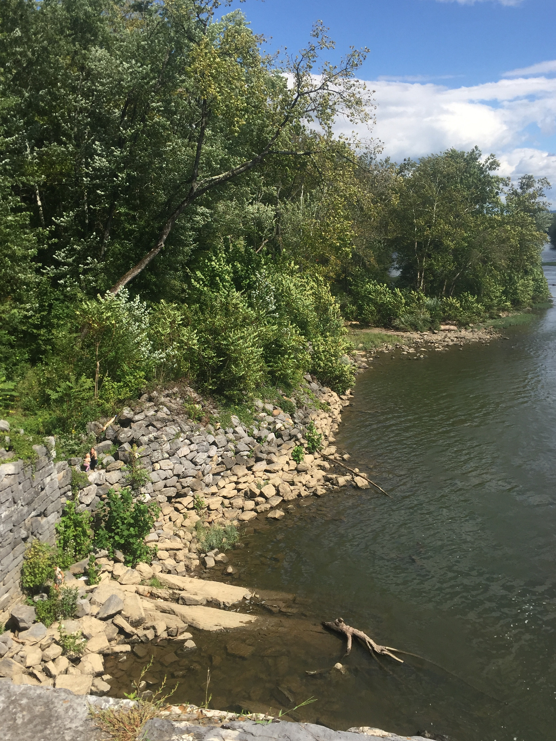 Taylors Landing Camping Club