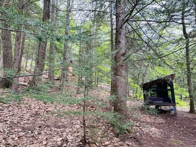 Forest Hut in Western Mass