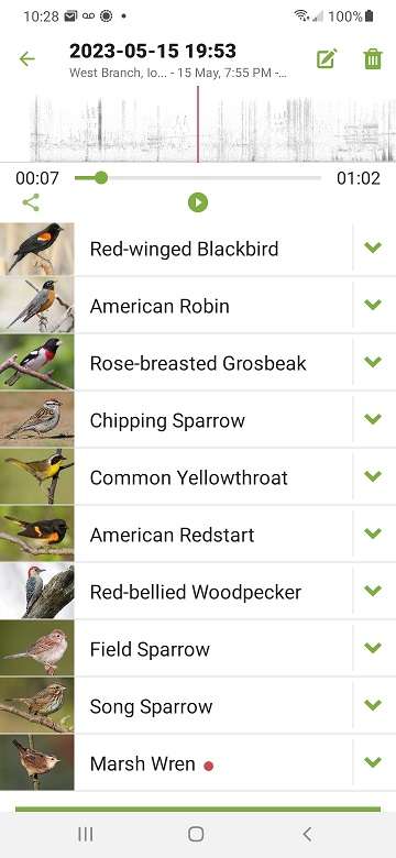 Use your Merlin app to identify birds in the prairie. Here's a sample from one evening in May.