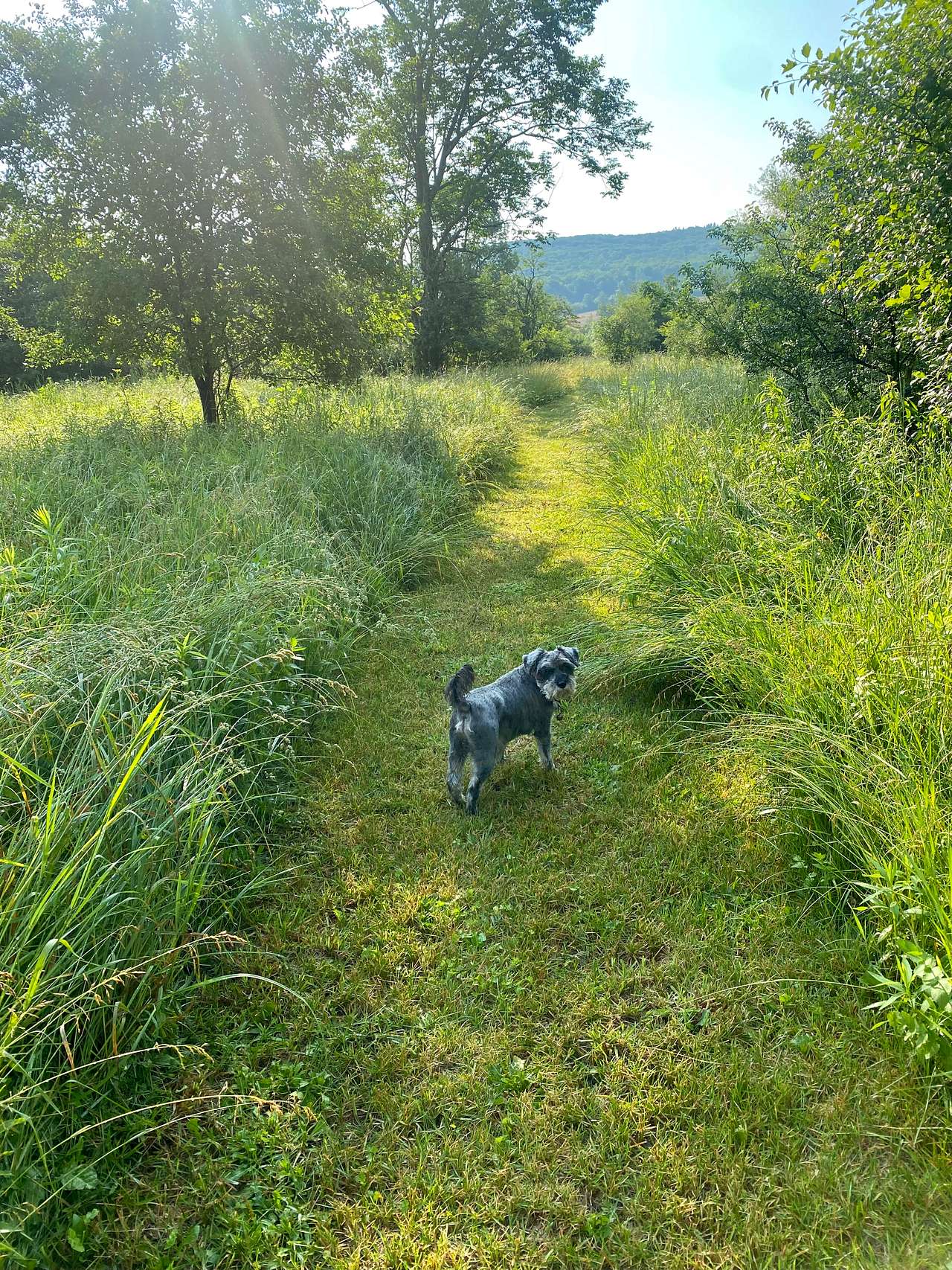 Walking paths are lovely!