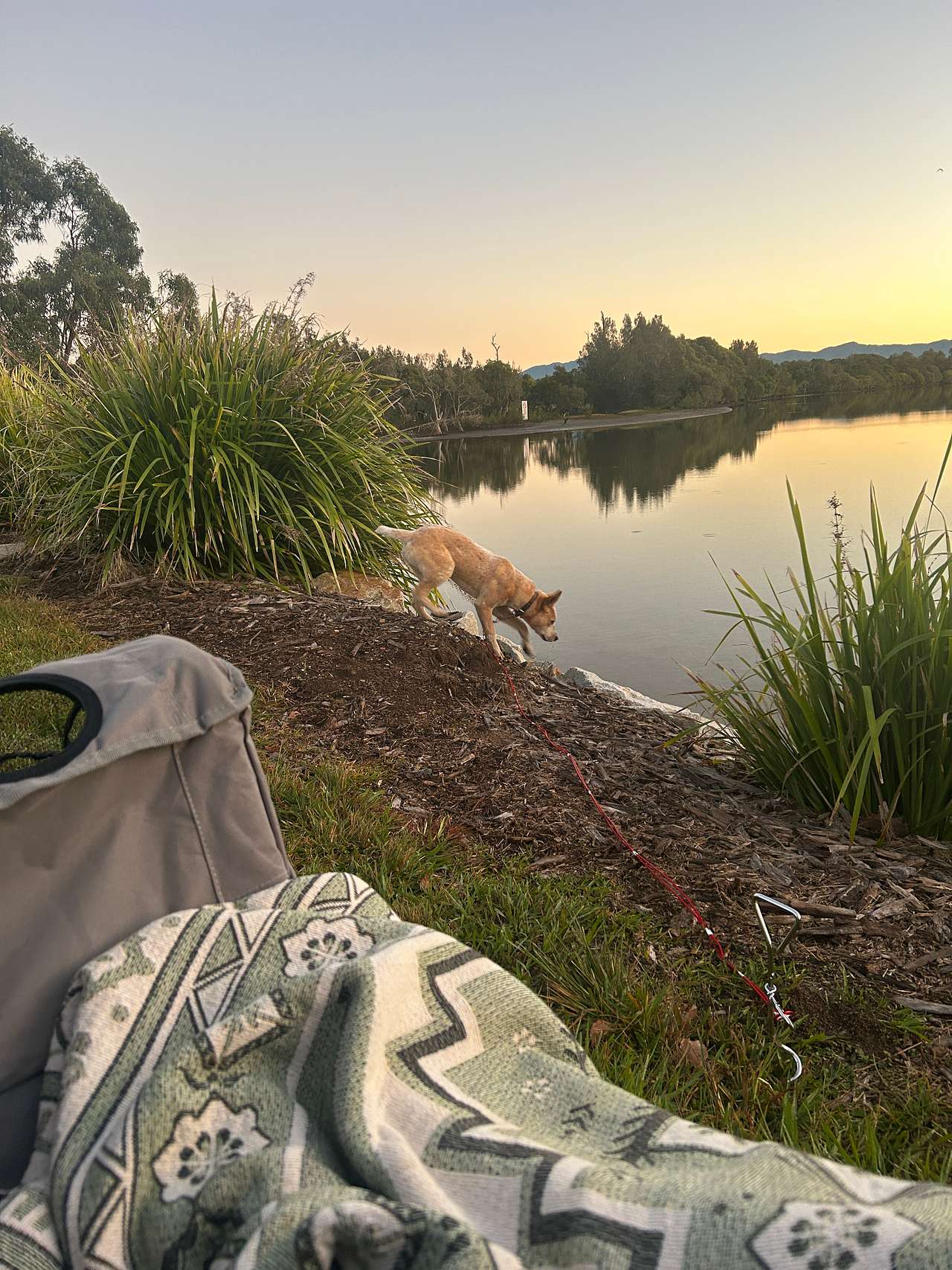 Anchorage Park Urunga