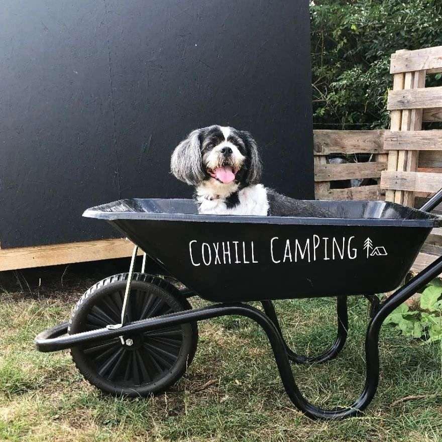 Dog Friendly