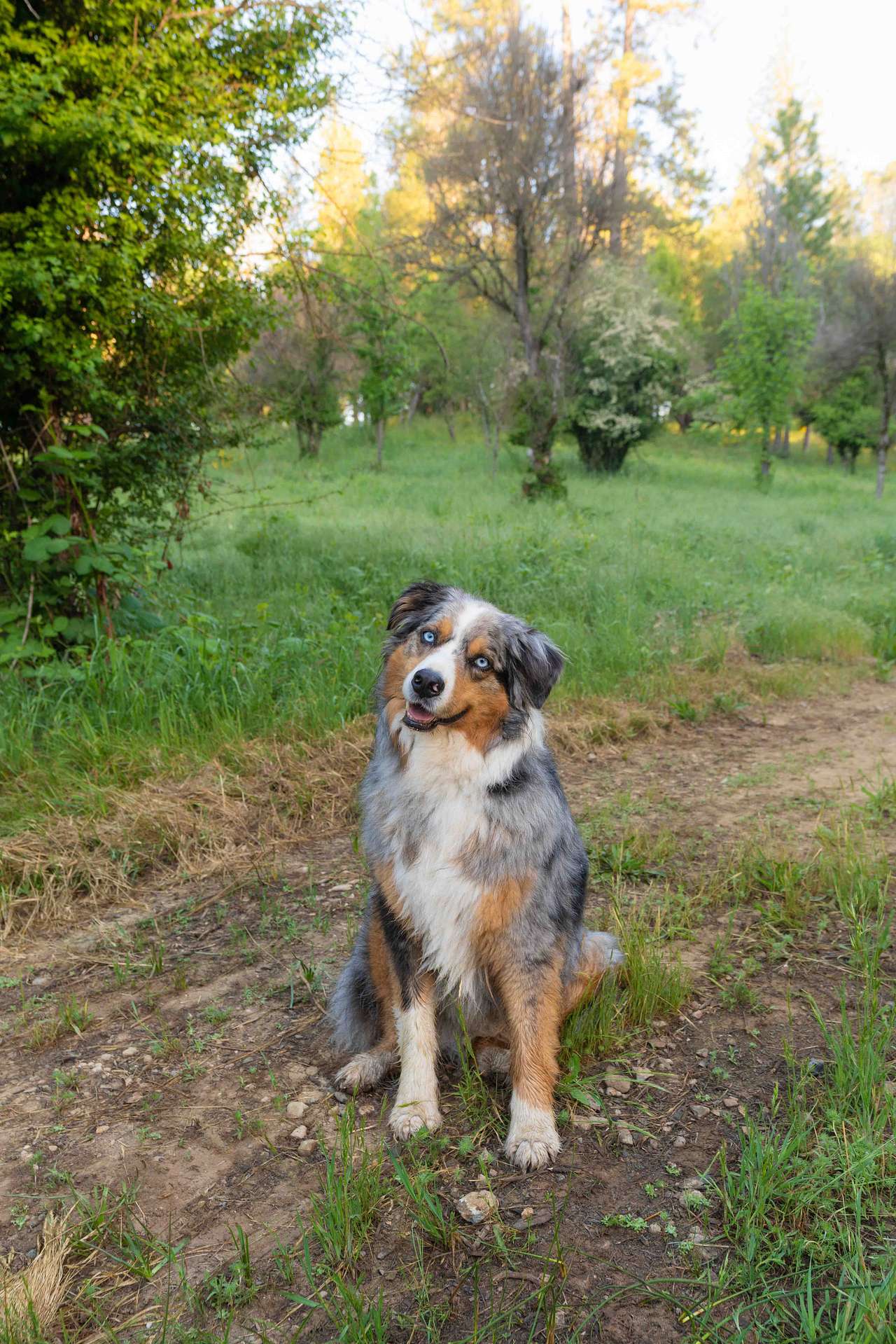 My best bud loved his stay