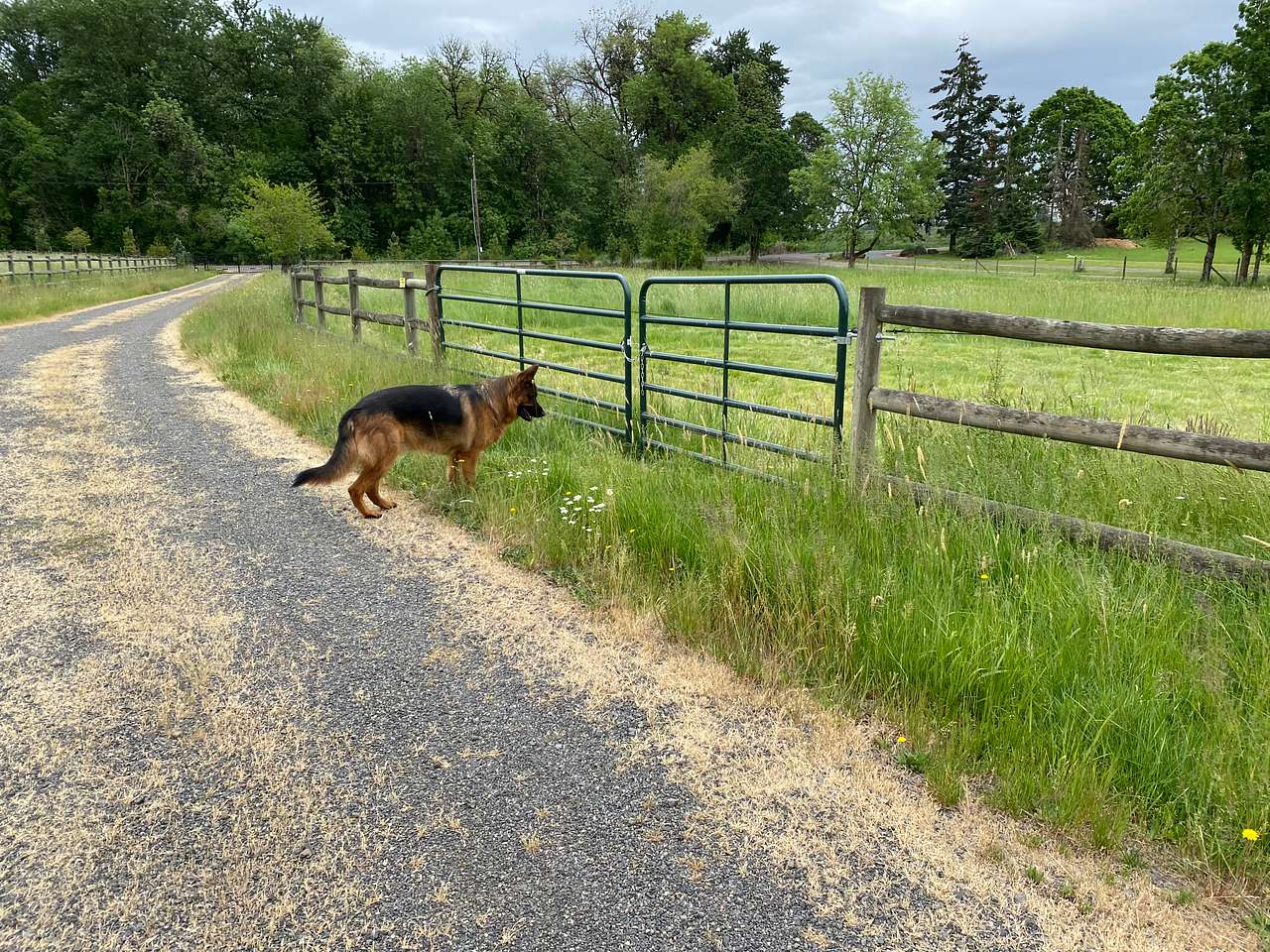 Enrique points out the gate to the RV field:)