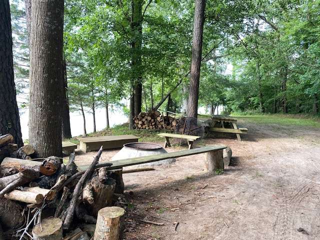 Campsite #1