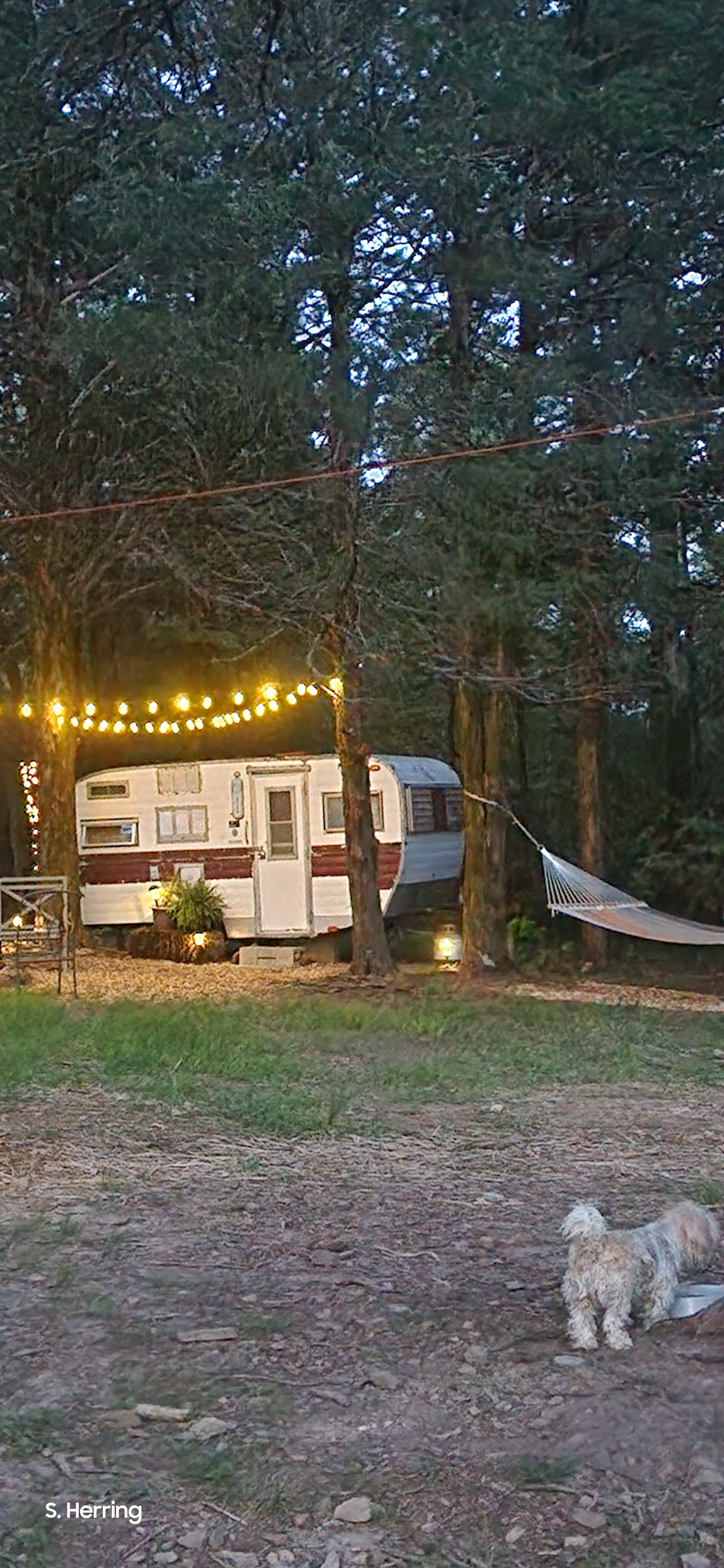 Barnyard Camping Experience