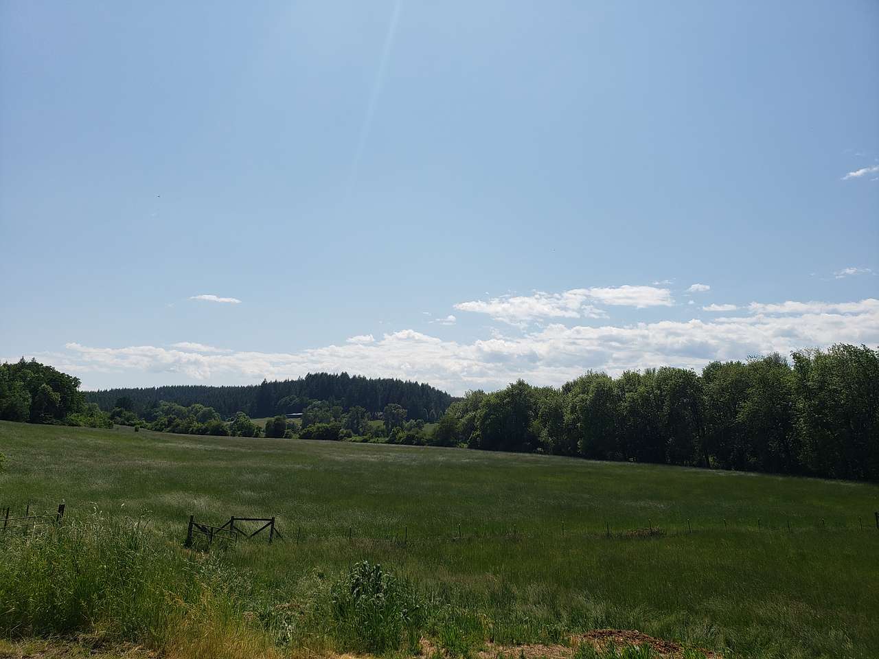 Circle C Farm