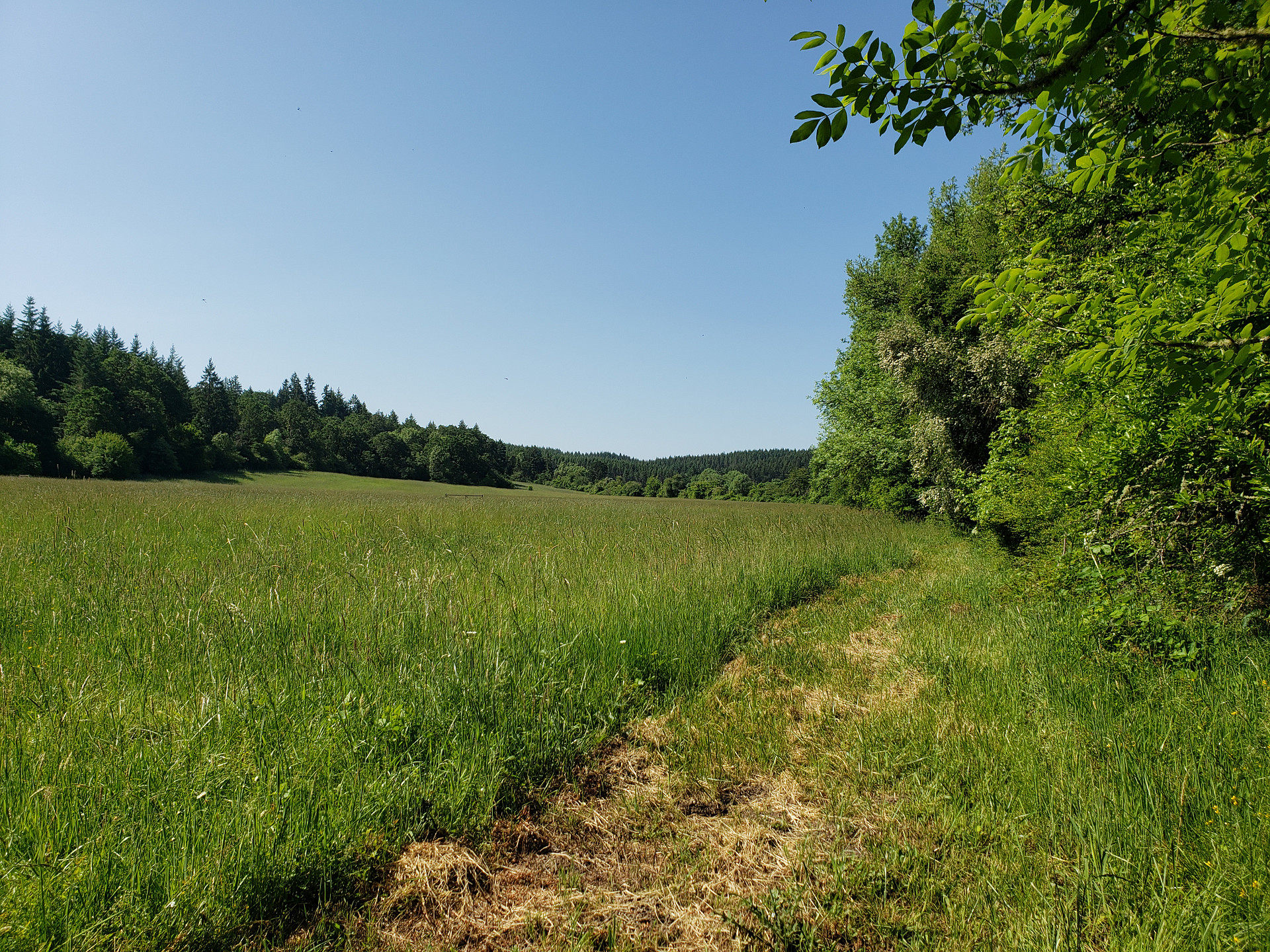 Circle C Farm