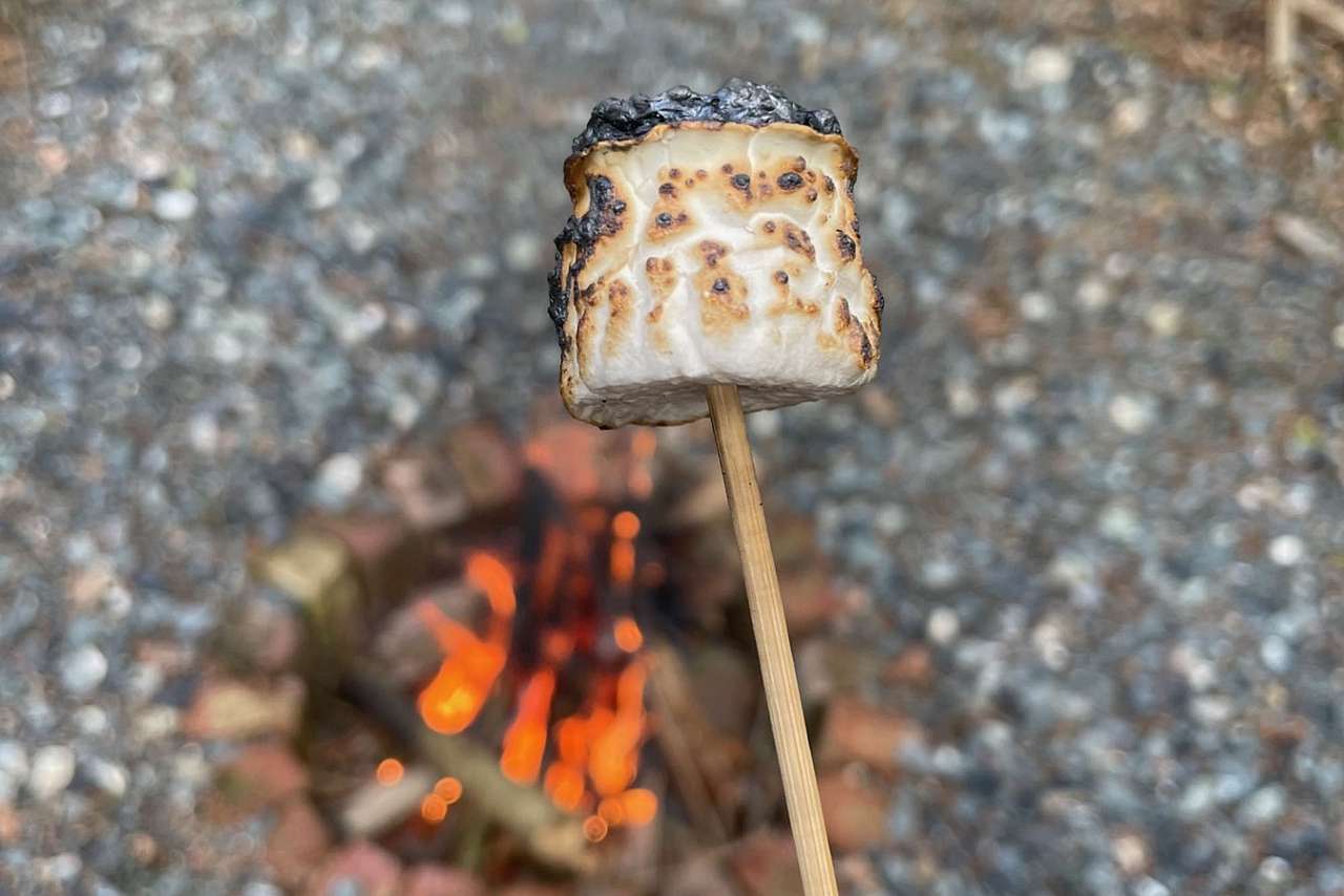 Private woodland in a shepherds hut