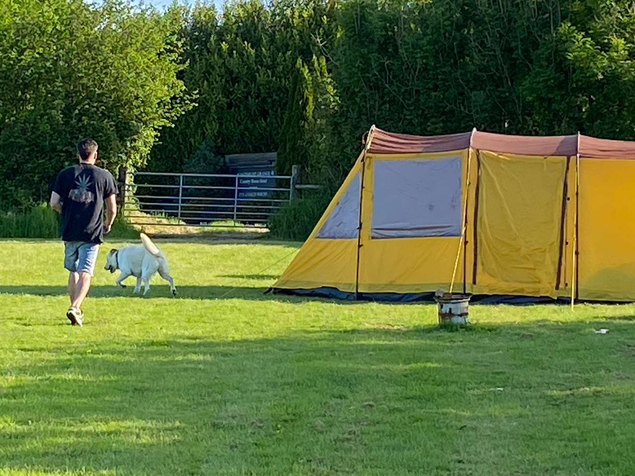 Tents and dogs welcome