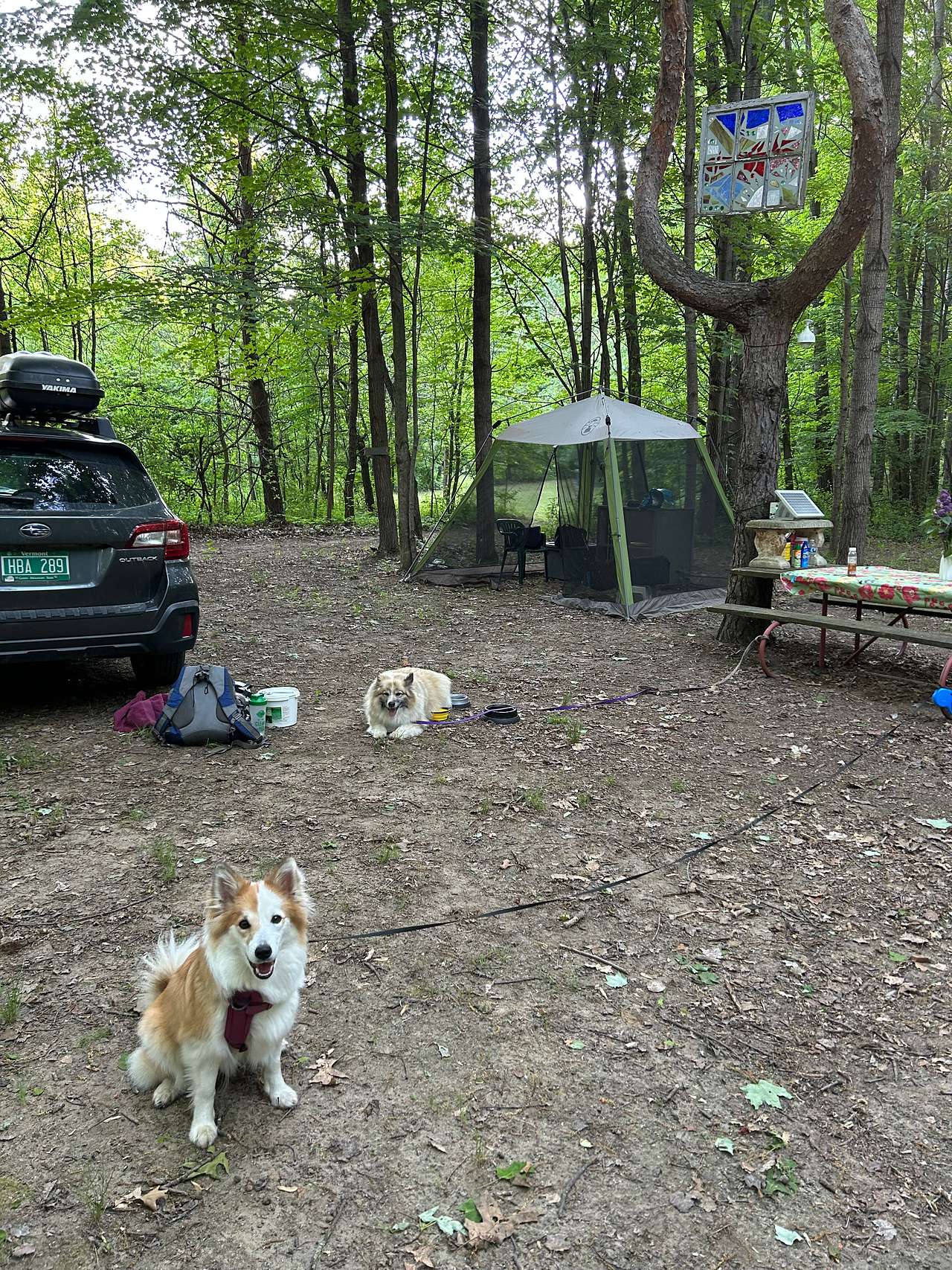 Sugar Shack Disc Golf Campground