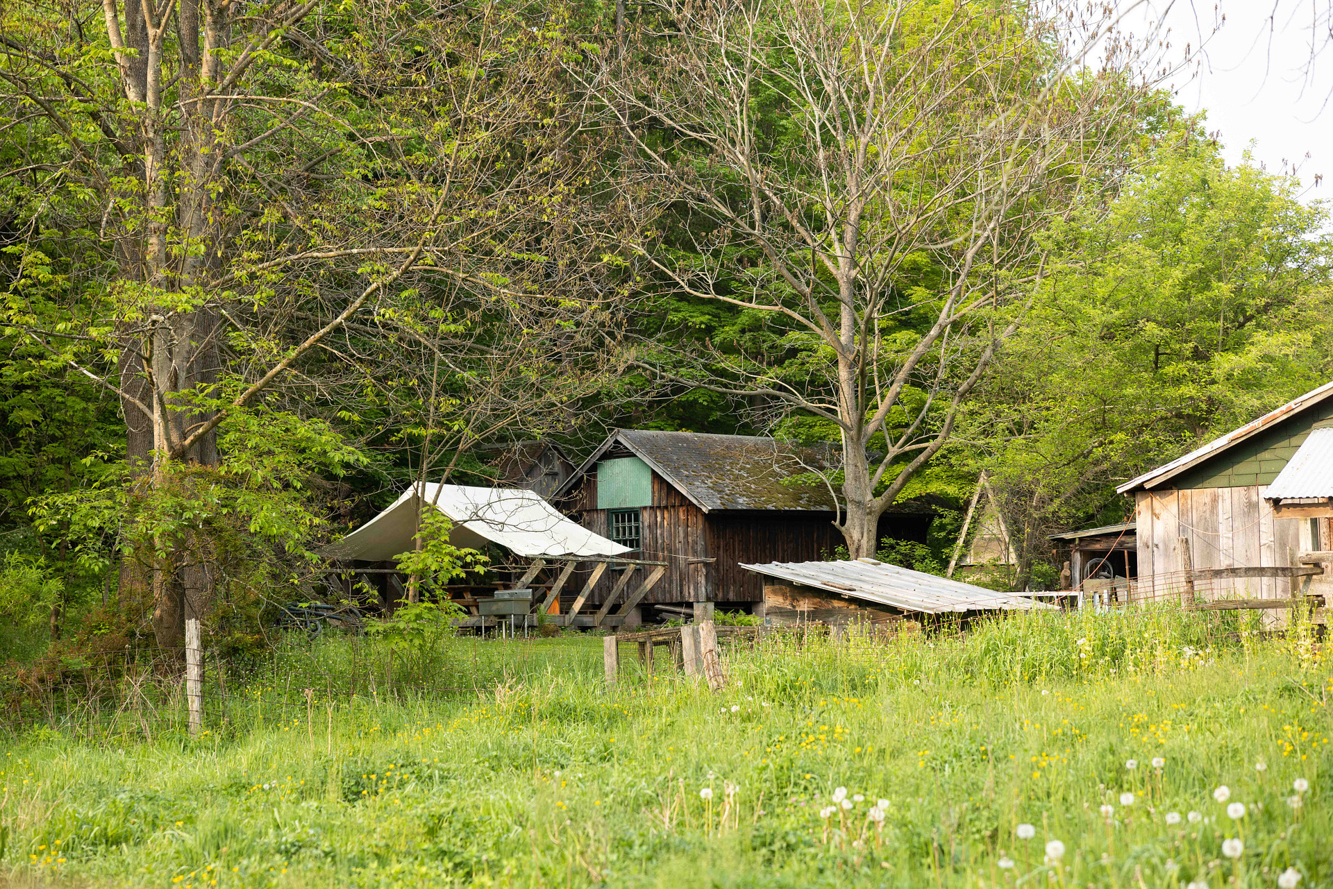 back view of the cabin from across a field