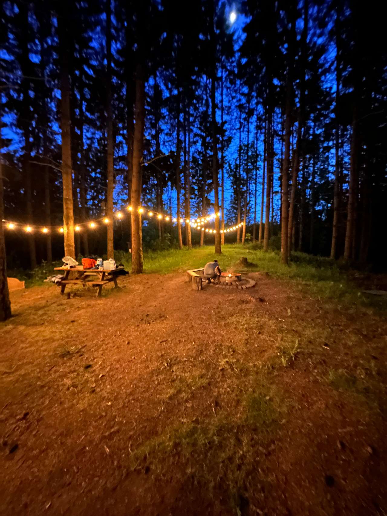 Akitaaru Forest Camp