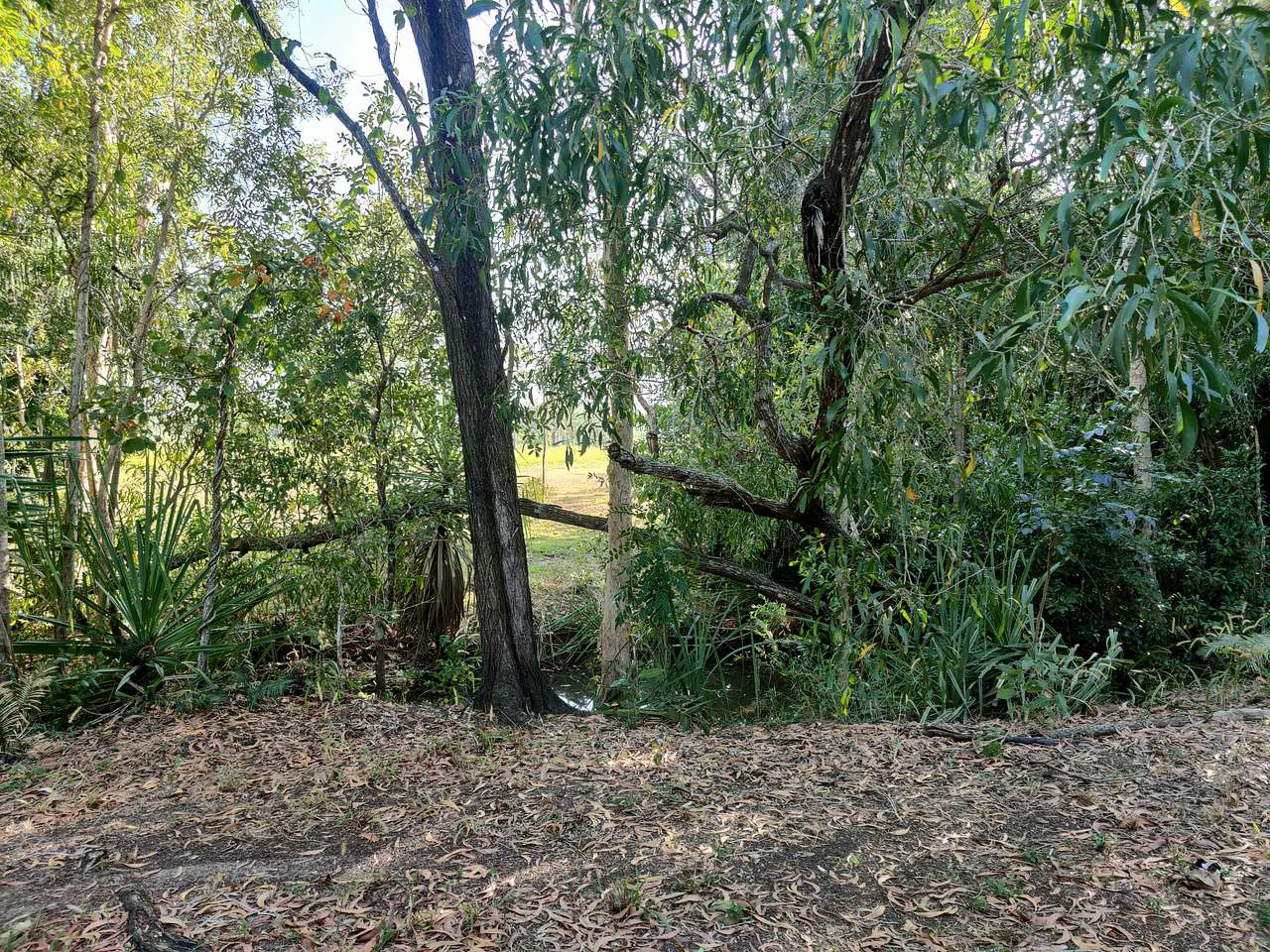 Paperbark Camp